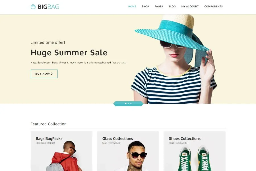  BigBag Store - e-commerce html template