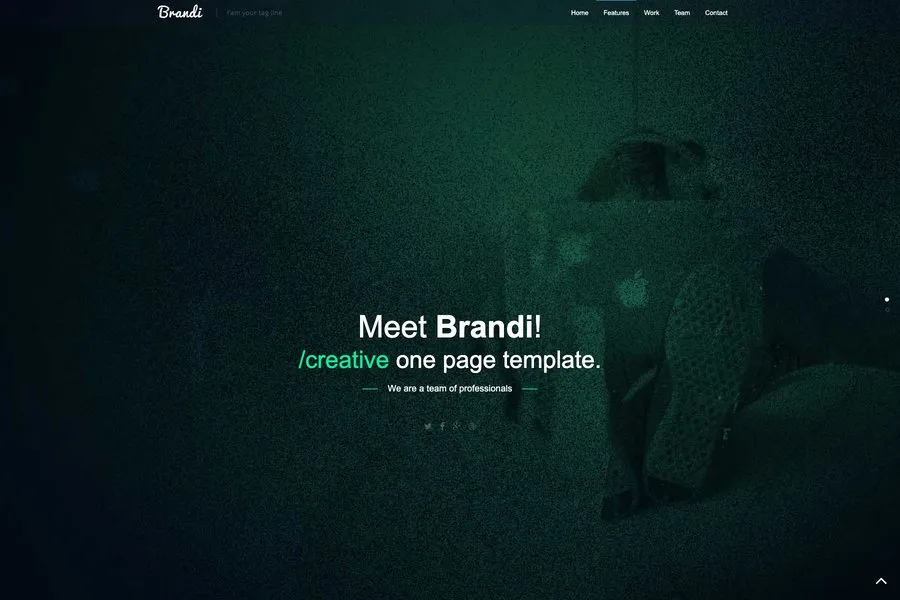 barndi rosponsive brootstrap one page website template
