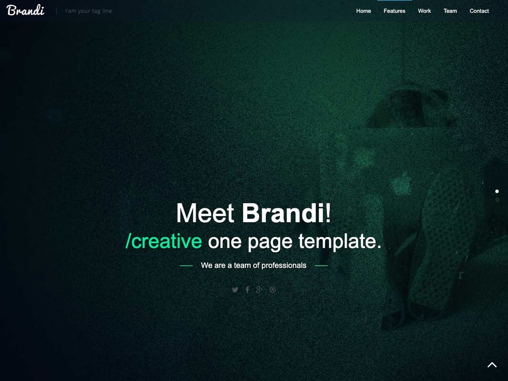 Brandi Bootstrap - One Page Business Template