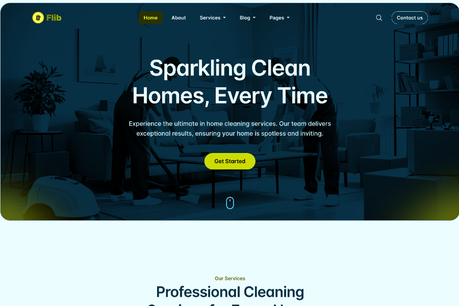 Flib Cleaning Services Template