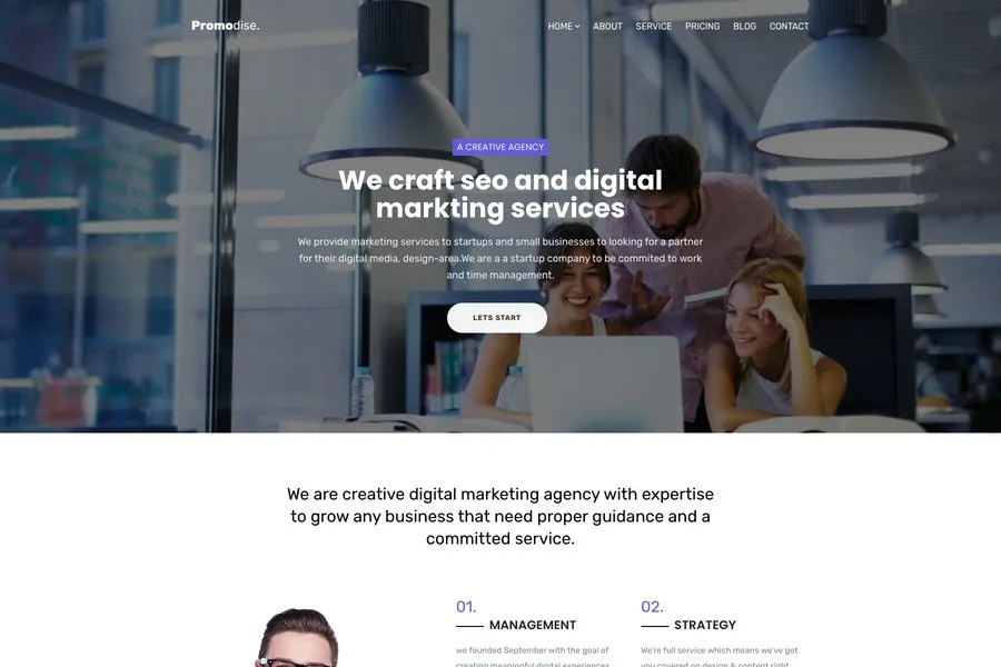 Promodise - Free Startup Business Website Template